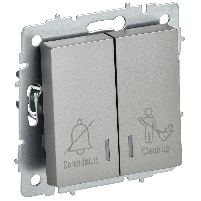 BRITE Выключатель 2-клавишный с индикацией для отелей 10А ВС10-2-9-БрС сталь IEK