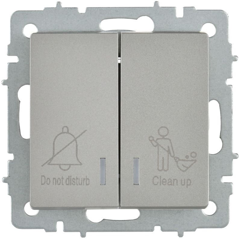 BRITE Выключатель 2-клавишный с индикацией для отелей 10А ВС10-2-9-БрС сталь IEK