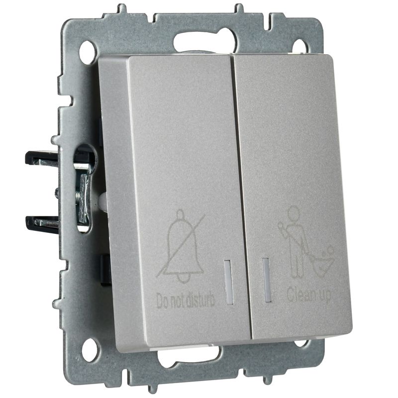 BRITE Выключатель 2-клавишный с индикацией для отелей 10А ВС10-2-9-БрС сталь IEK