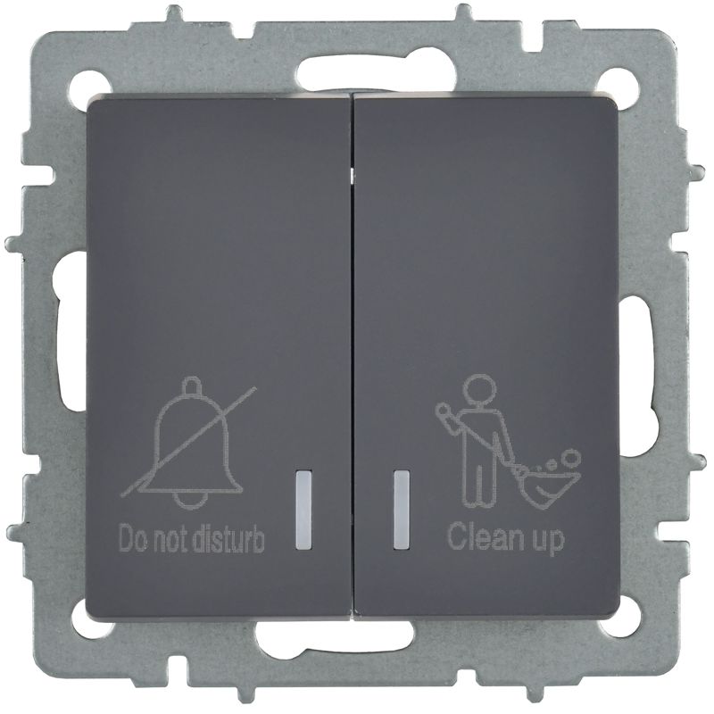 BRITE Выключатель 2-клавишный с индикацией для отелей 10А ВС10-2-9-БрГ графит IEK