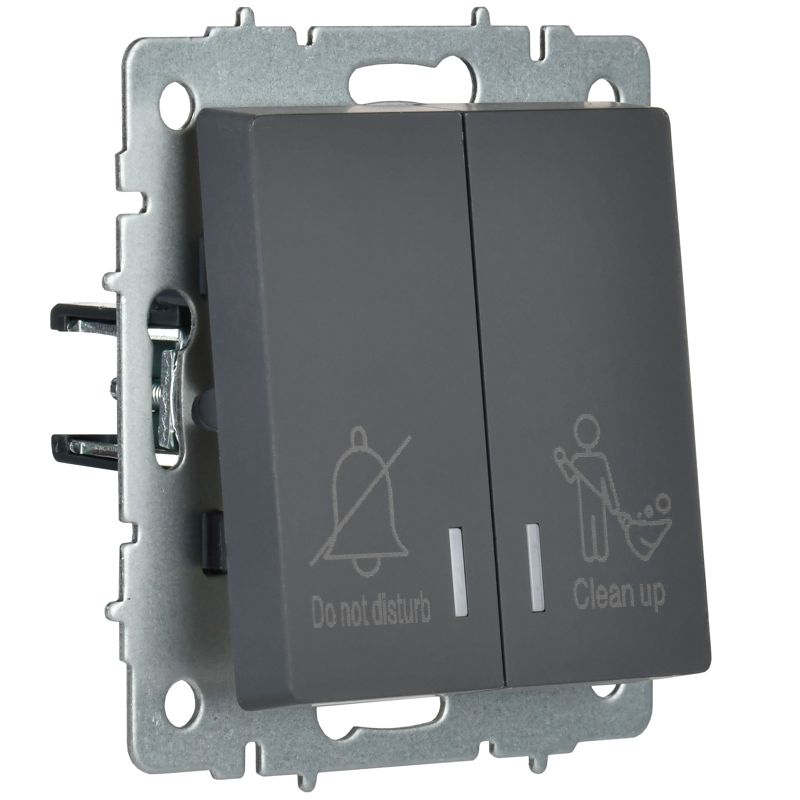 BRITE Выключатель 2-клавишный с индикацией для отелей 10А ВС10-2-9-БрГ графит IEK