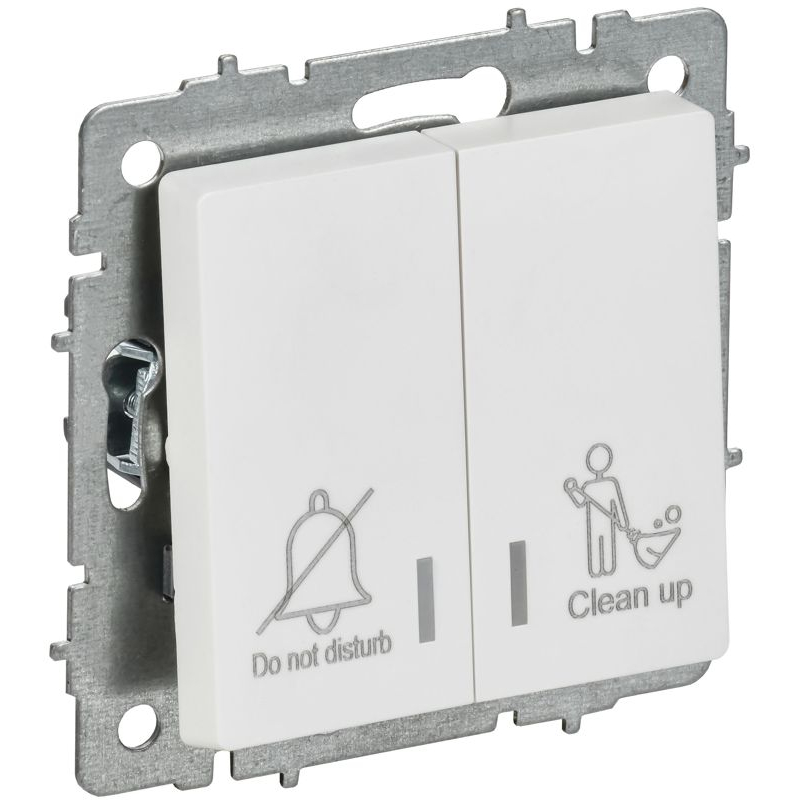 BRITE Выключатель 2-клавишный с индикацией для отелей 10А ВС10-2-9-БрАБ арктический белый IEK