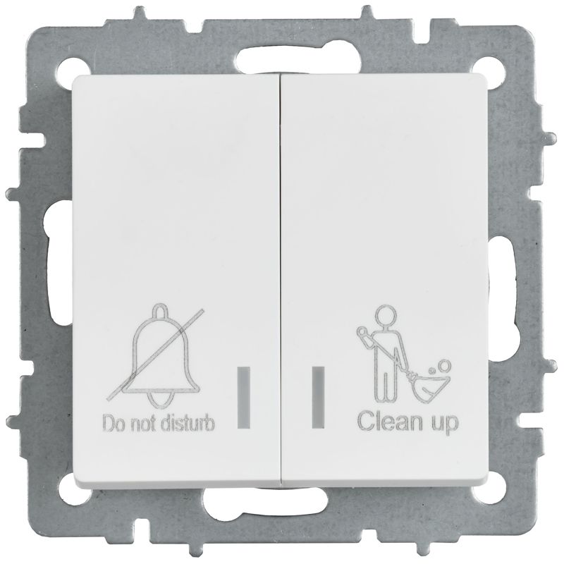 BRITE Выключатель 2-клавишный с индикацией для отелей 10А ВС10-2-9-БрАБ арктический белый IEK