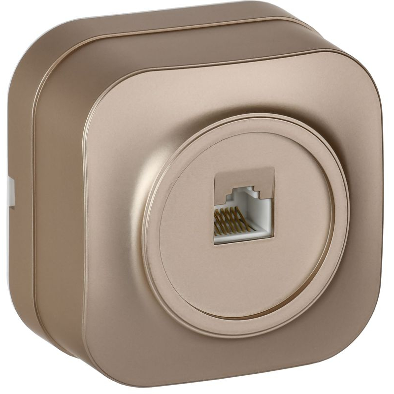 GLORY Розетка для открытой установки компьютерная RJ45 кат.5E РК10-ХШм шампань матовый IEK