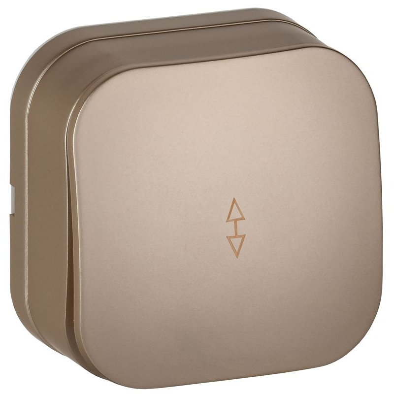 GLORY Выключатель 1-клавишный для открытой установки проходной 10А ВСп10-1-0-ХШм шампань матовый IEK