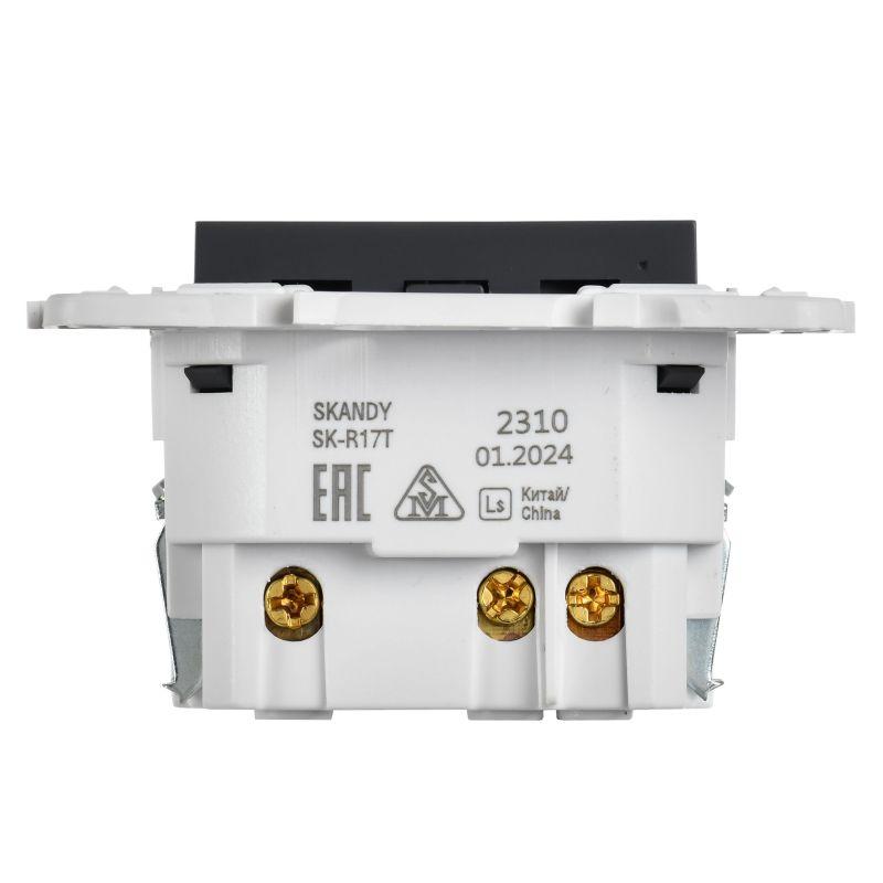 SKANDY Розетка с заземлением с защитными шторками 16А с USB C 18Вт SK-R17T титан IEK