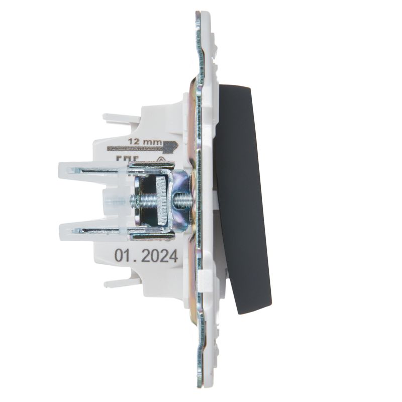 SKANDY Выключатель 1-клавишный с индикацией 10А SK-V07G графит IEK