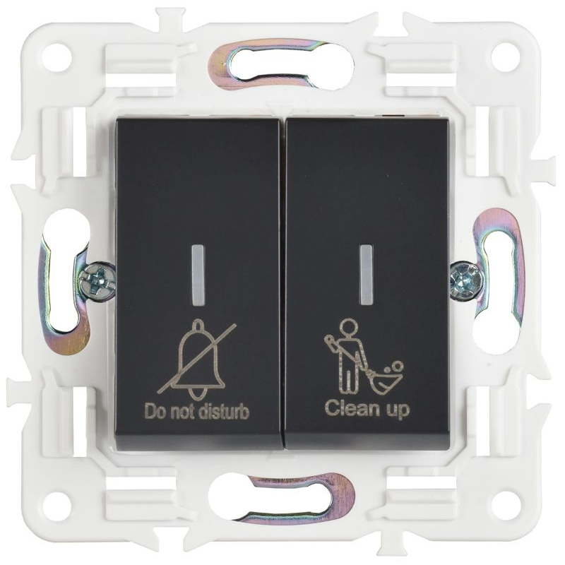 SKANDY Выключатель 2-клавишный с индикацией для отелей 10А SK-V16Bl черный IEK