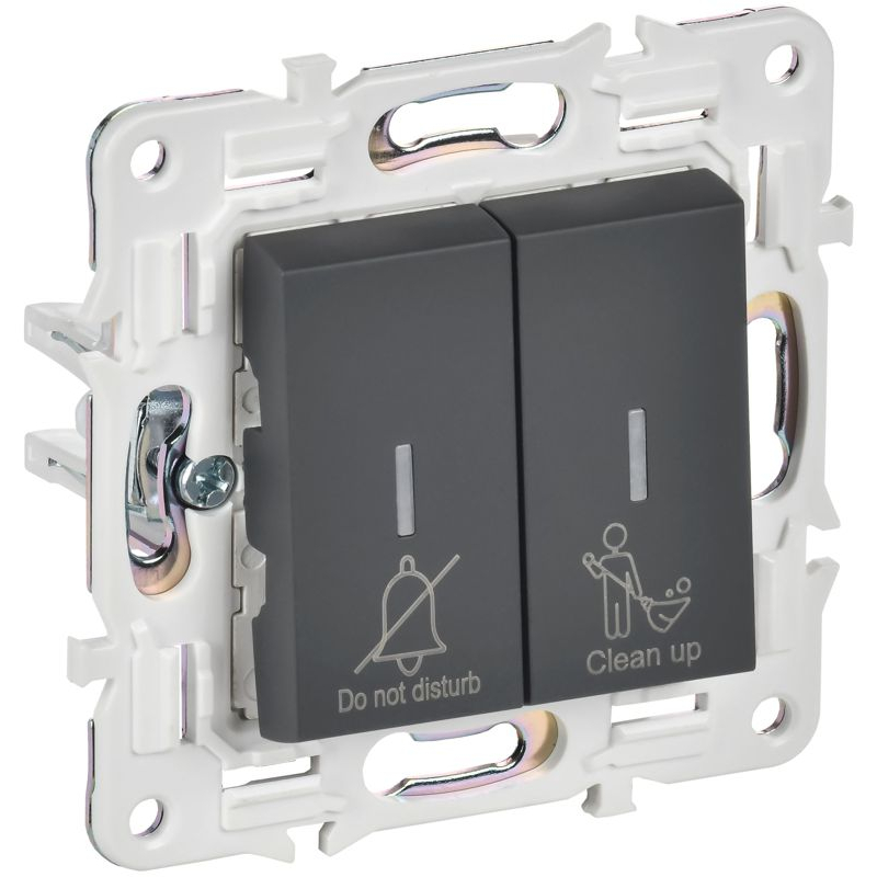 SKANDY Выключатель 2-клавишный с индикацией для отелей 10А SK-V16G графит IEK