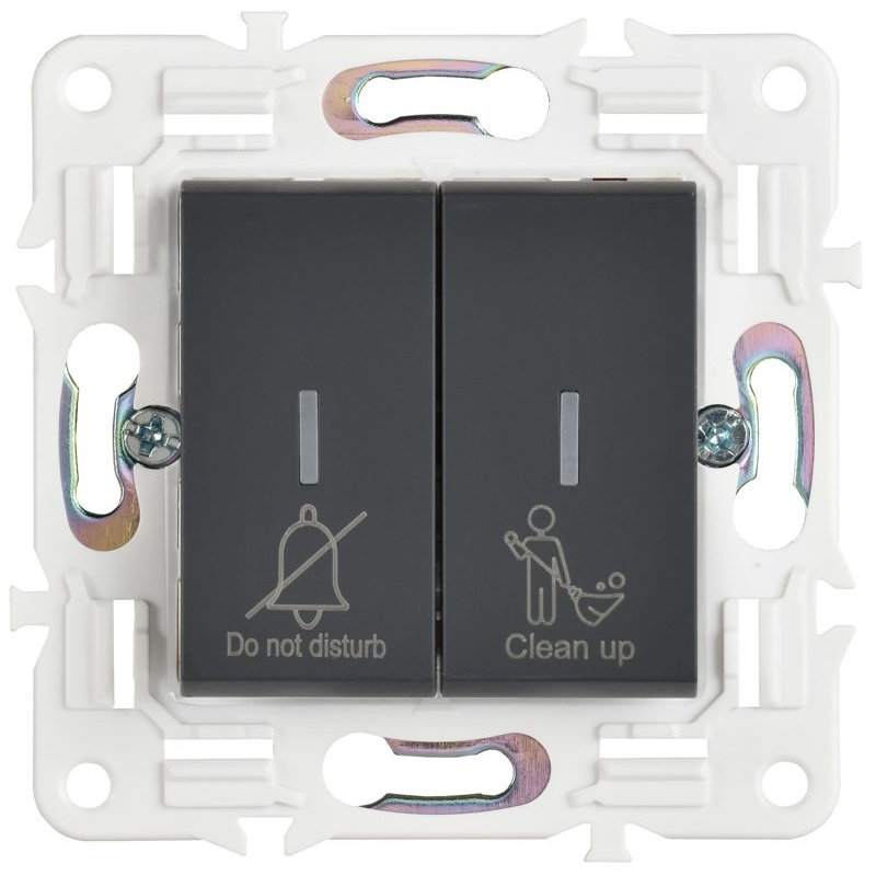 SKANDY Выключатель 2-клавишный с индикацией для отелей 10А SK-V16G графит IEK