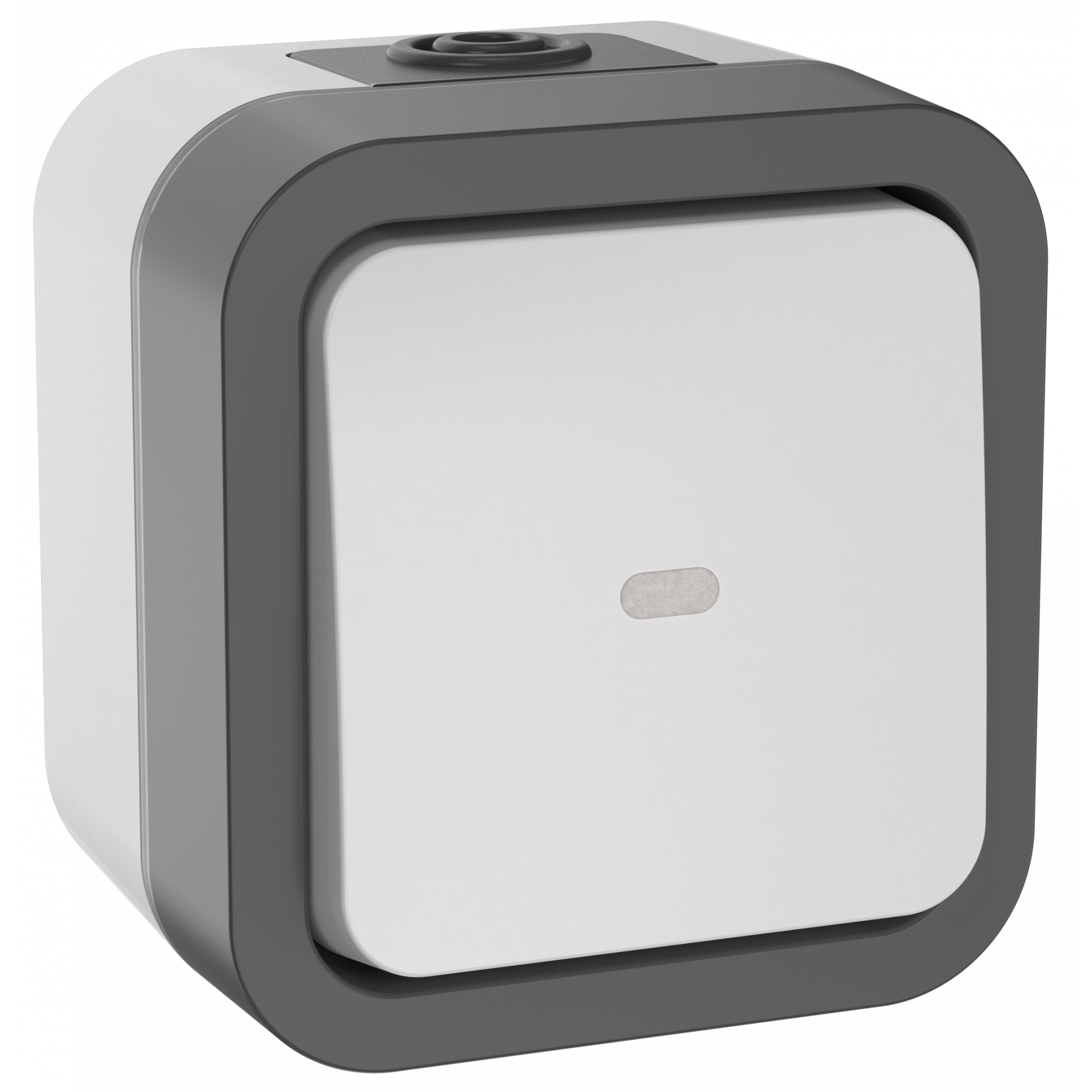 TORS Переключатель одноклавишный с индикацией 10А IP55 TS202 серо-белый IEK