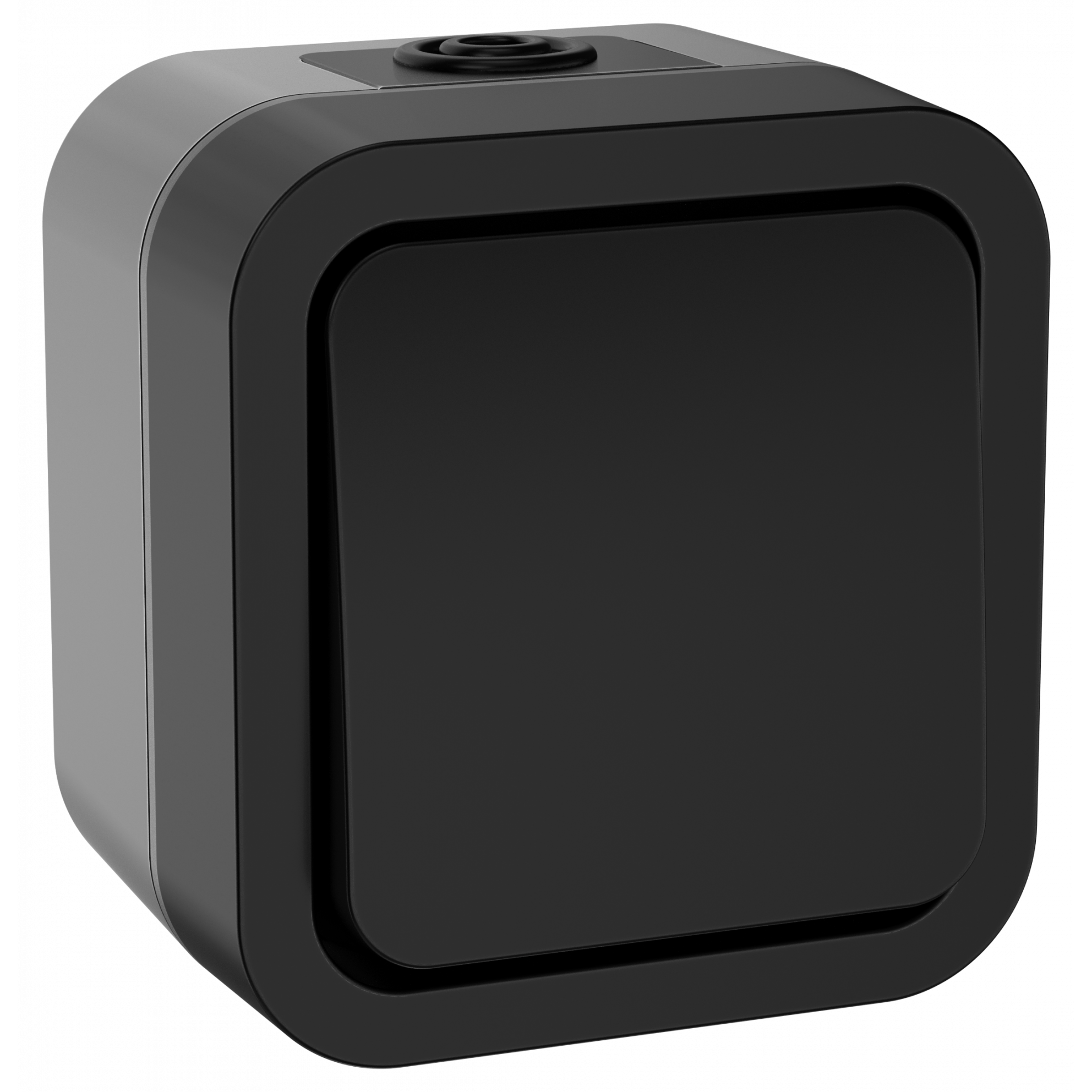 TORS Выключатель кнопочный 10А IP55 TS110 графит IEK