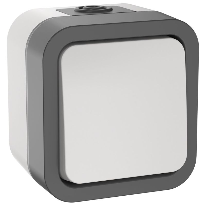 TORS Выключатель двухполюсный одноклавишный 10А IP55 TS211 серо-белый IEK