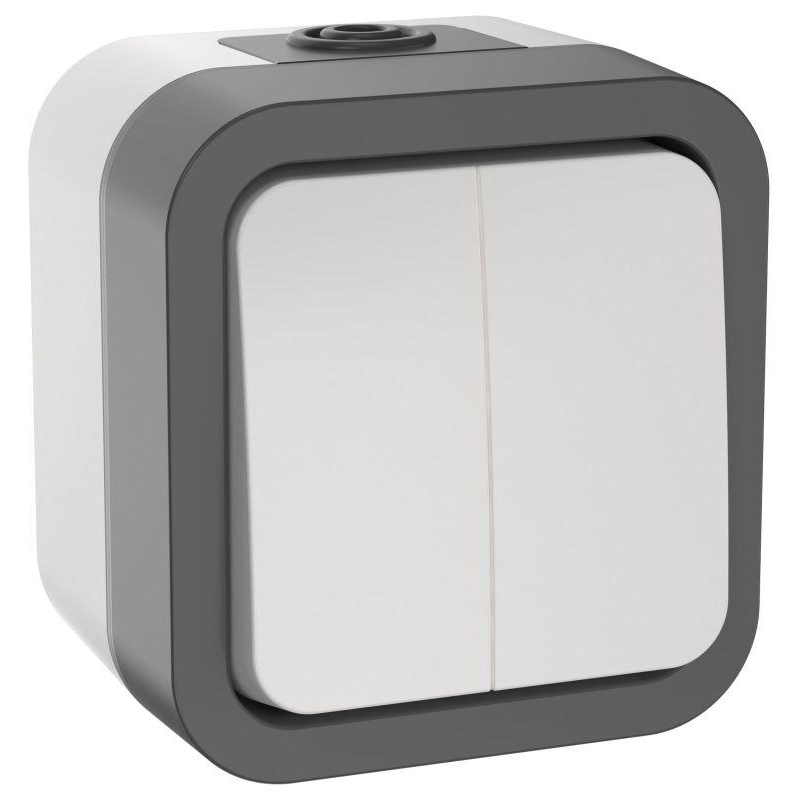 TORS Выключатель двухклавишный 10А IP55 TS205 серо-белый IEK