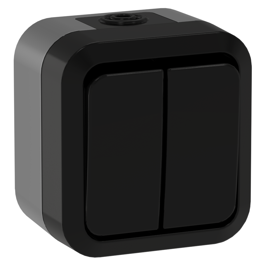 TORS Выключатель двухклавишный проходной 10А IP55 TS125 графит IEK