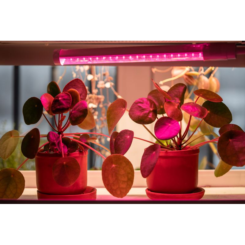 Светильник светодиодный ДБЛ 05 9Вт 573мм IEK