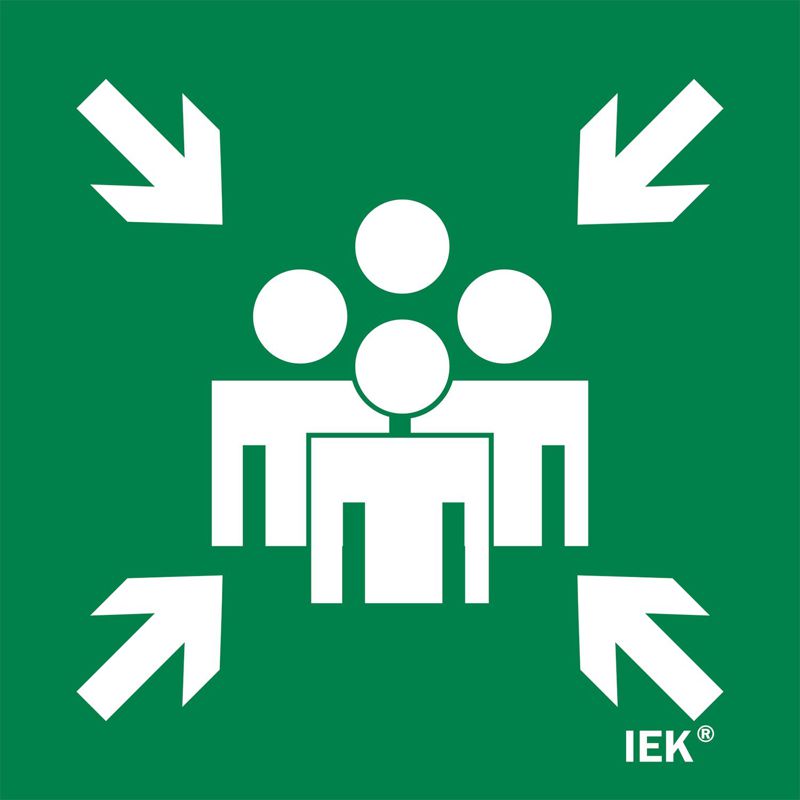 Этикетка самоклеящаяся 150х150мм Место сбора IEK