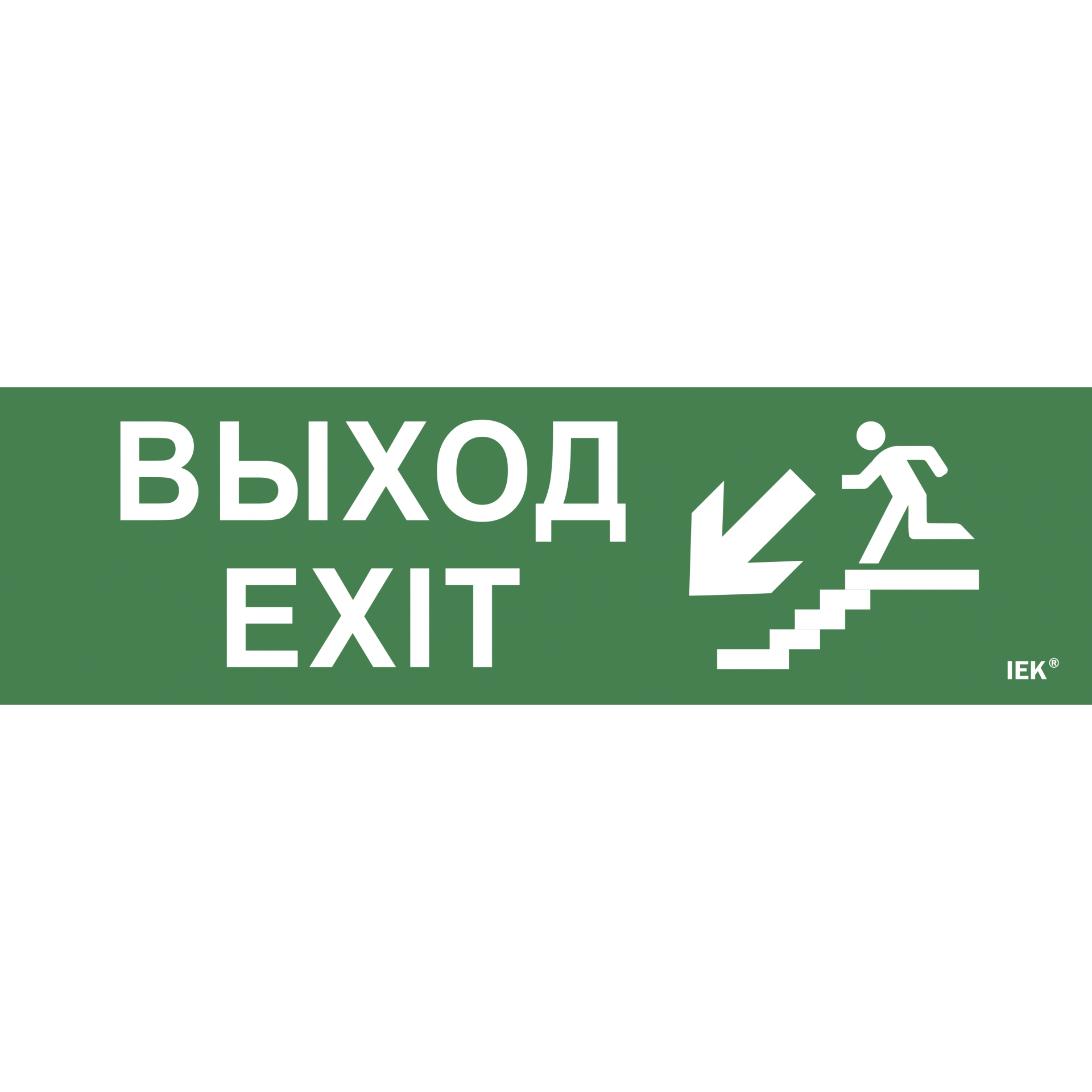 Этикетка самоклеящаяся 310х90мм Выход/лестница вниз/фигура IEK