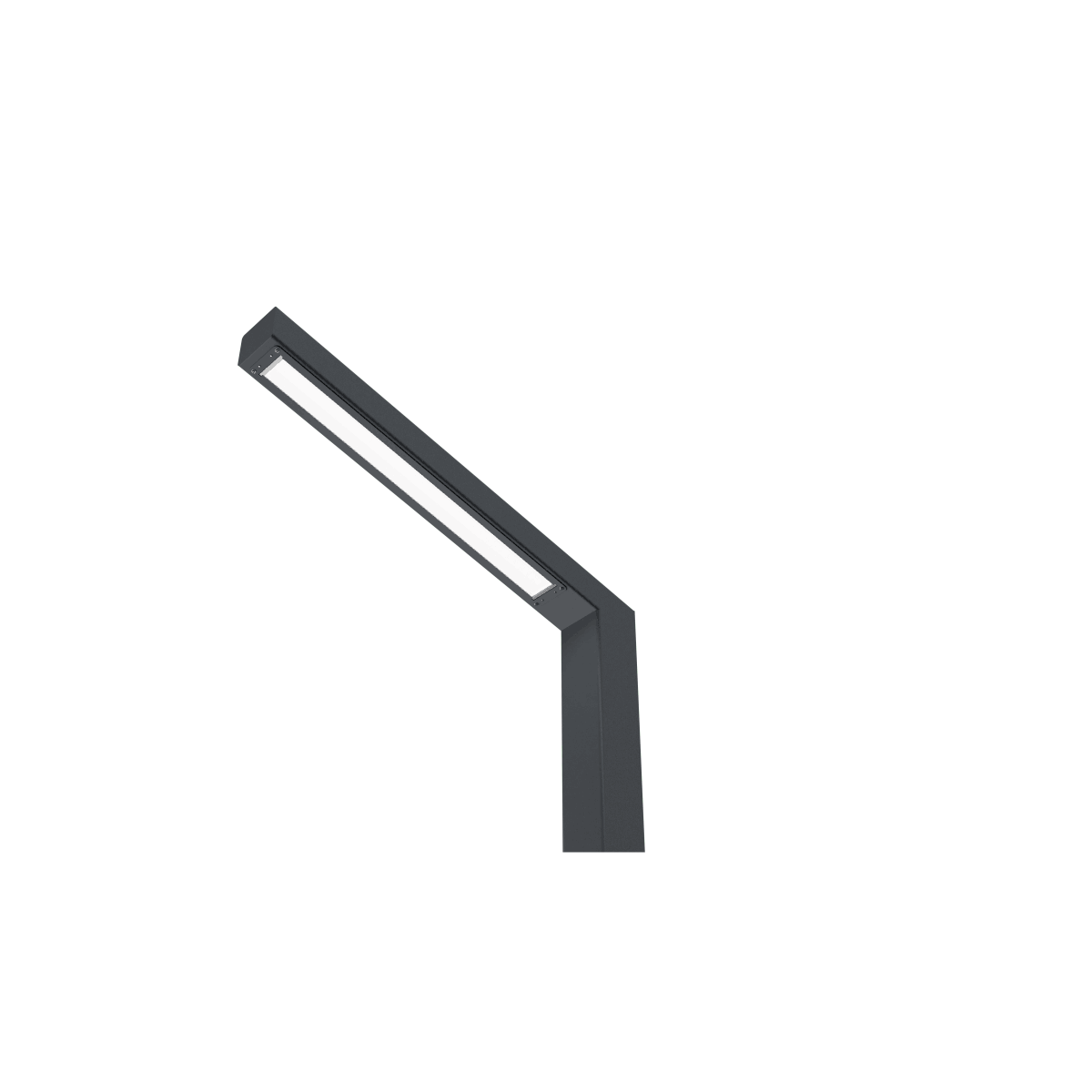 Светильник L-park STICK 1/60/Ш9/750/01/P1-F1/220AC IP65 ГО LEDEL