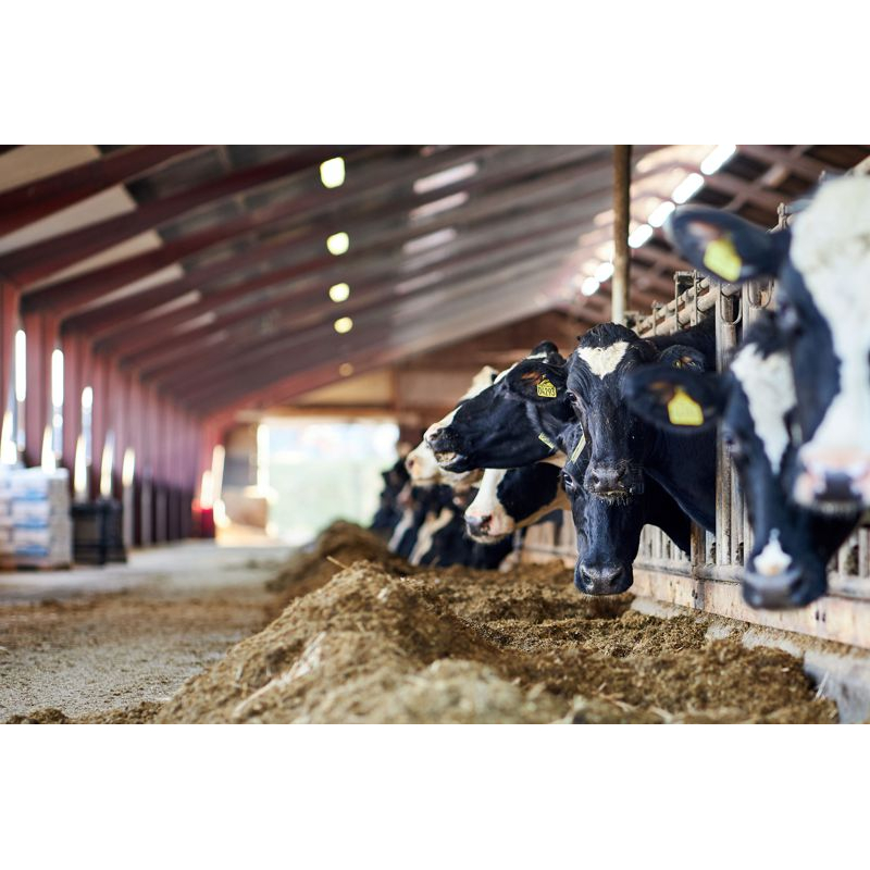 PRO Светильник ДСП 1472 36Вт 5000К IP69 пластик PMMA IEK