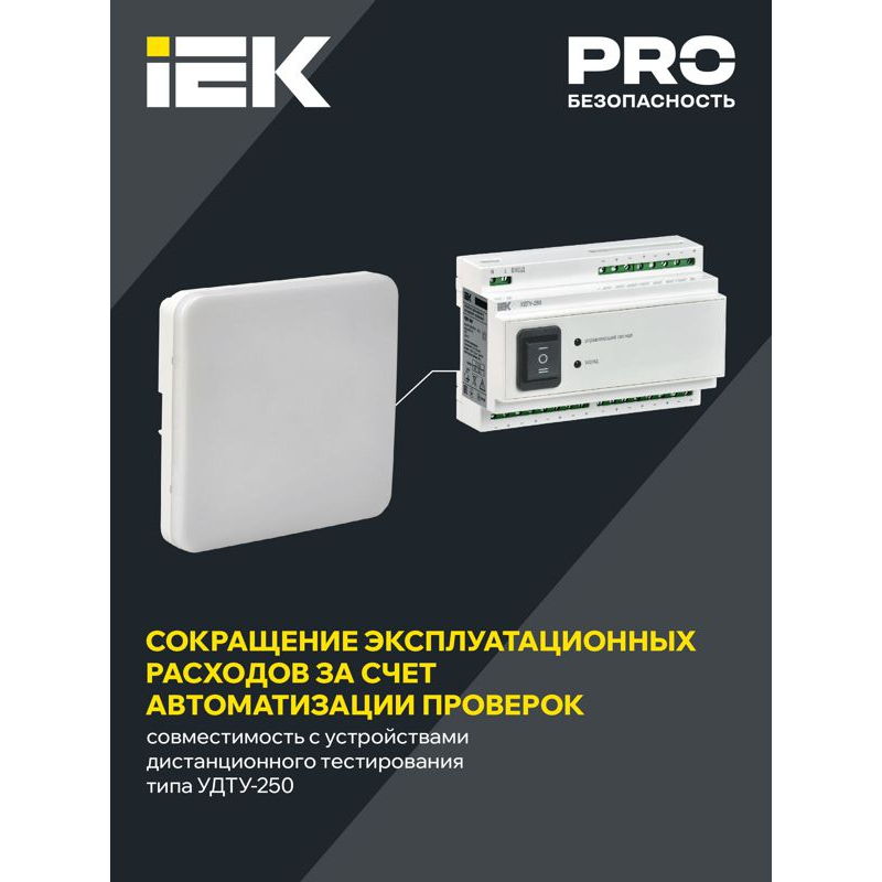Светильник аварийный ДПА 5000-3 постоянного действия совместим с УДТУ 3ч IP65 IEK