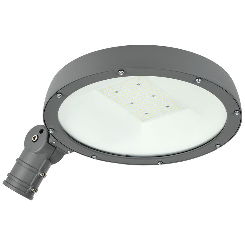 Светильник светодиодный консольный ДКУ Парк 2001-100Д 5000К IP65 IEK