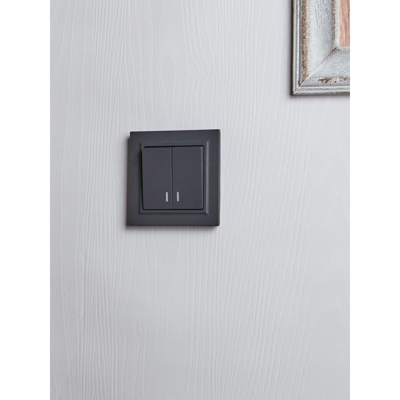 BRITE Выключатель 2-клавишный с индикацией 10А ВС10-2-1-БрГ графит IEK