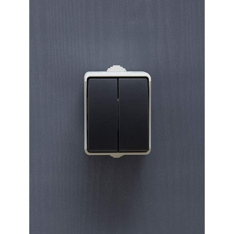 FORS Выключатель 2-клавишный для открытой установки 10А IP54 ВС20-2-0-ФСр серый IEK