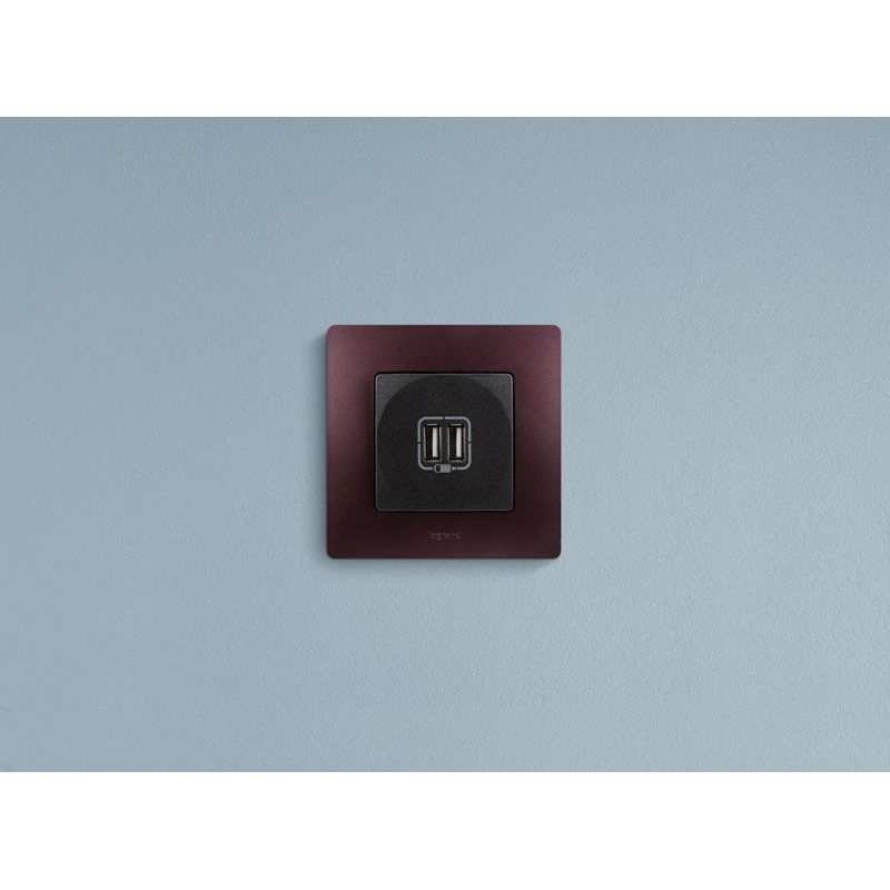 Механизм розетки USB 1-м СП Etika 2мод. 240В/5В 2400мА антрацит Leg 672694