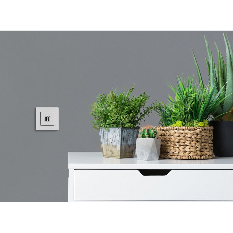 Механизм розетки USB 1-местный СП Etika 2 модуля 240В/5В 2400мА белый