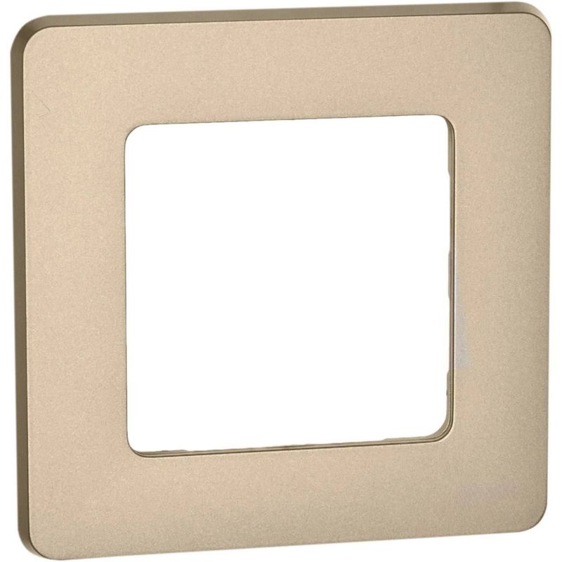 Рамка 1-м Inspiria шампань Leg 673938