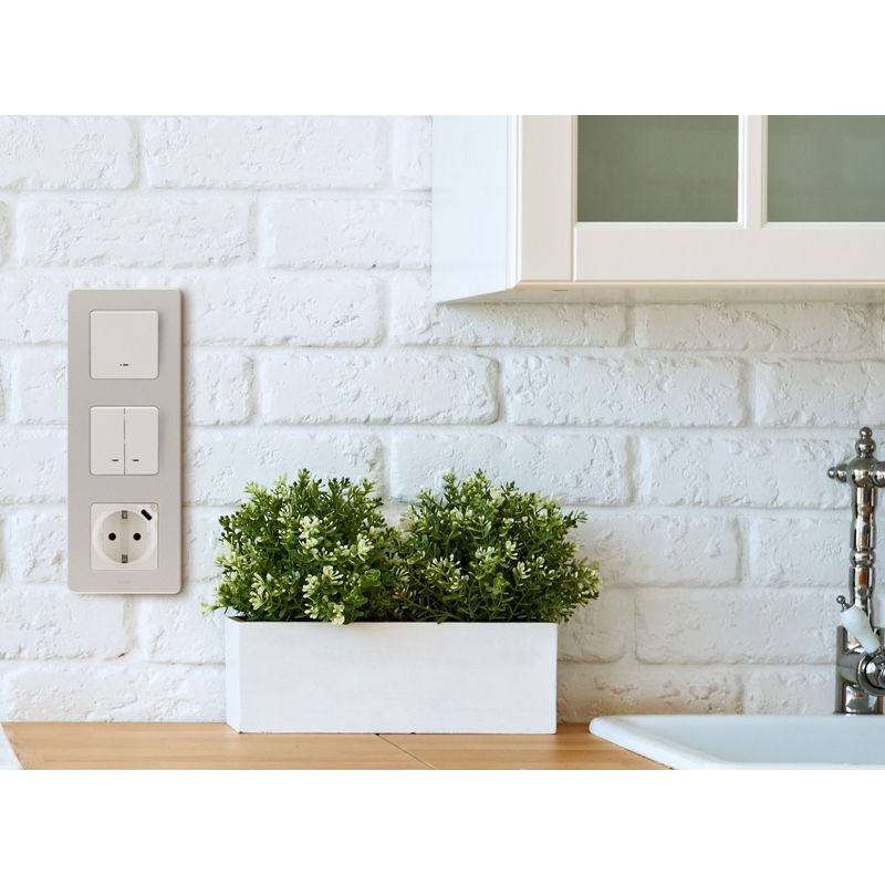 Механизм розетки 1-м СП Inspiria 16А IP20 250В 2P+E немецк. стандарт со встроен. зарядным устройством USB C 1.5А 5В сл. кость Leg 673771