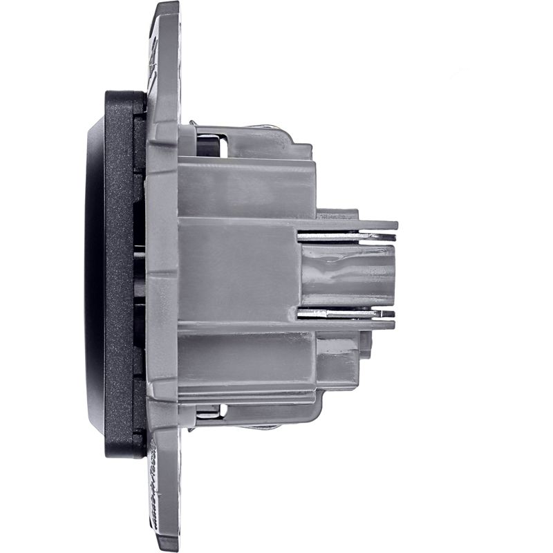 Механизм розетки 1-м СП Inspiria 16А IP20 250В 2P+E защ. шторки немецк. стандарт антрацит Leg 673733