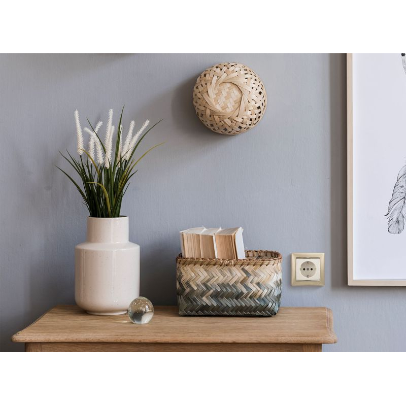 Механизм розетки 1-м СП Valena 16А IP20 с заземл. на винтах сл. кость Leg 774320