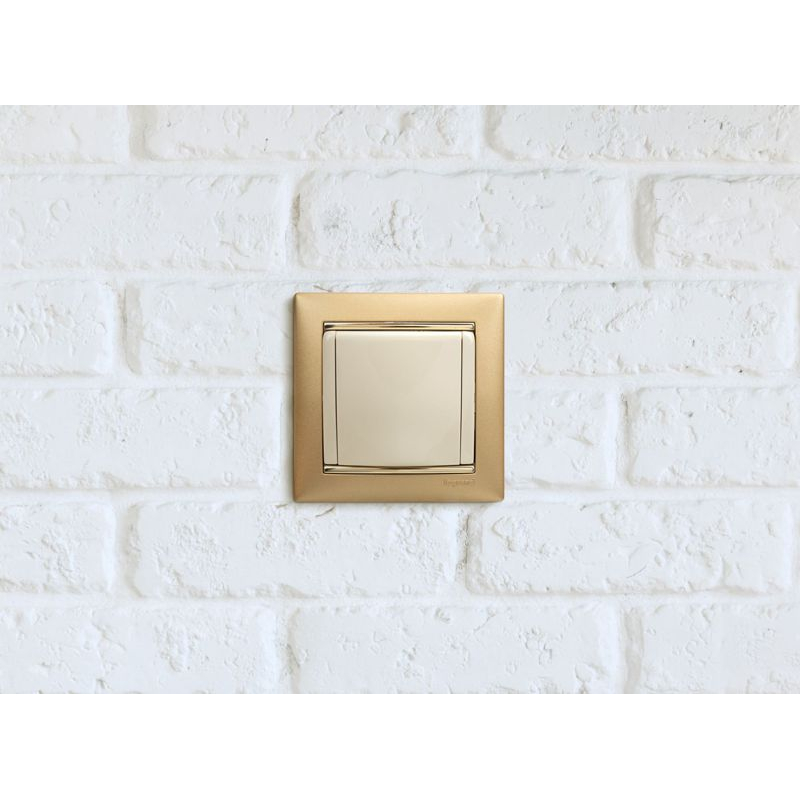 Механизм розетки 1-м СП Valena 16А IP21 2P+E с заземл. защ. шторки с крышкой на винтах сл. кость Leg 774322