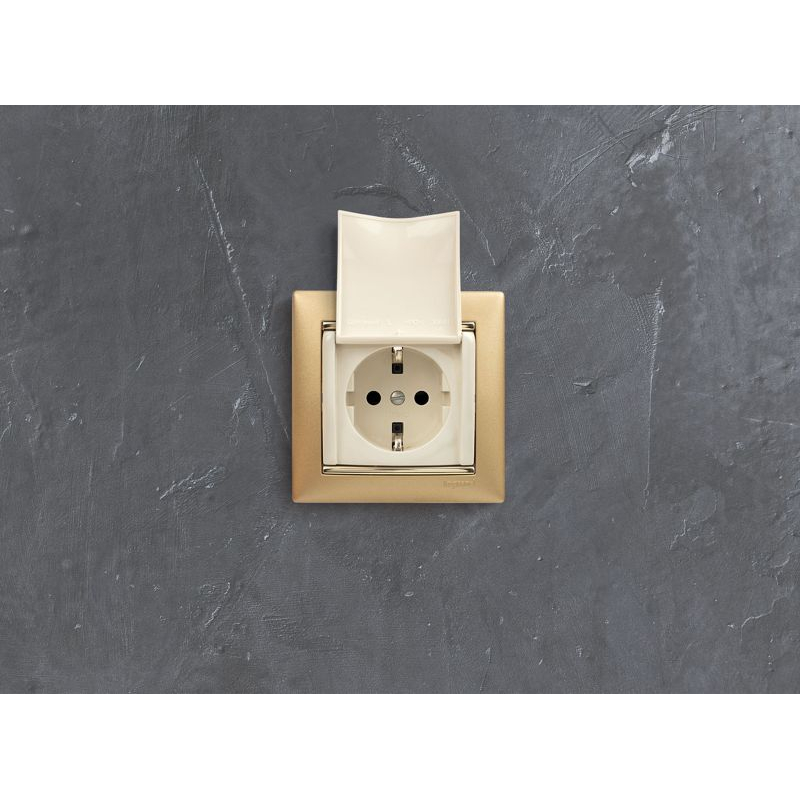 Механизм розетки 1-м СП Valena 16А IP21 2P+E с заземл. защ. шторки с крышкой на винтах сл. кость Leg 774322