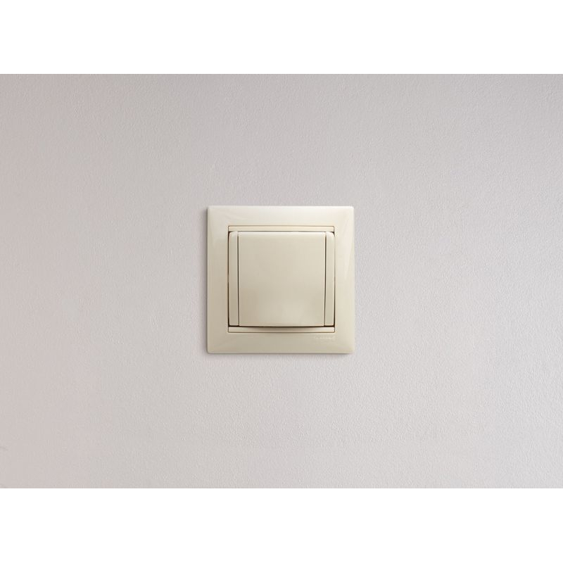 Механизм розетки 1-м СП Valena 16А IP21 2P+E с заземл. защ. шторки с крышкой на винтах сл. кость Leg 774322