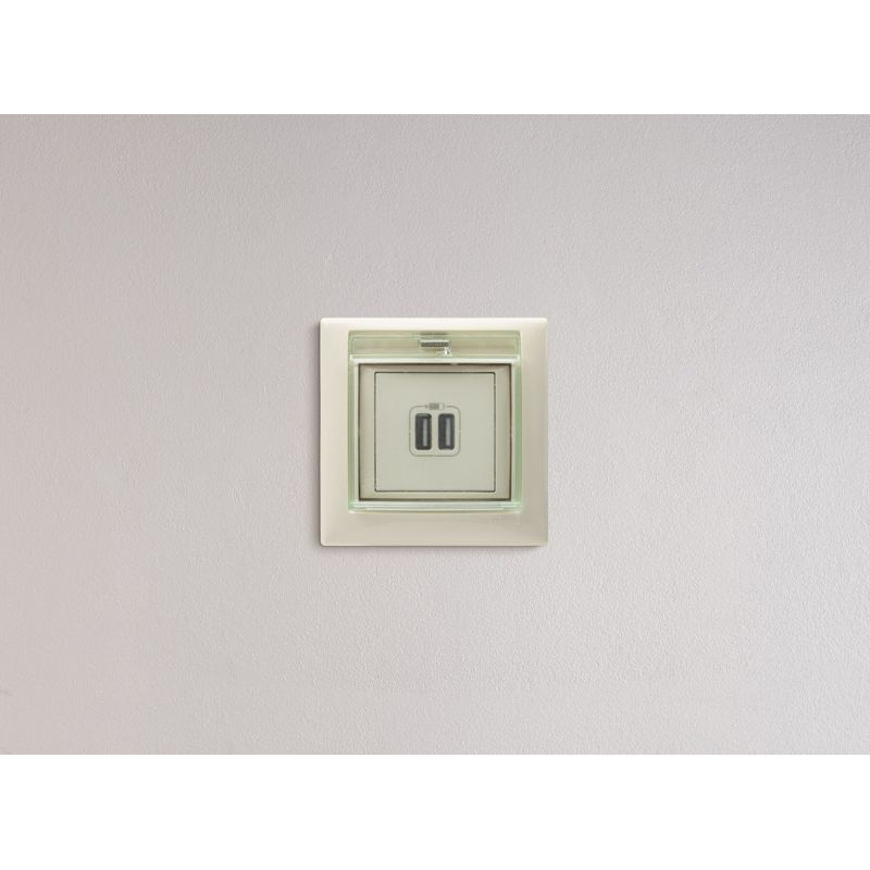 Розетка USB 2-м СП Valena сл. кость Leg 774170