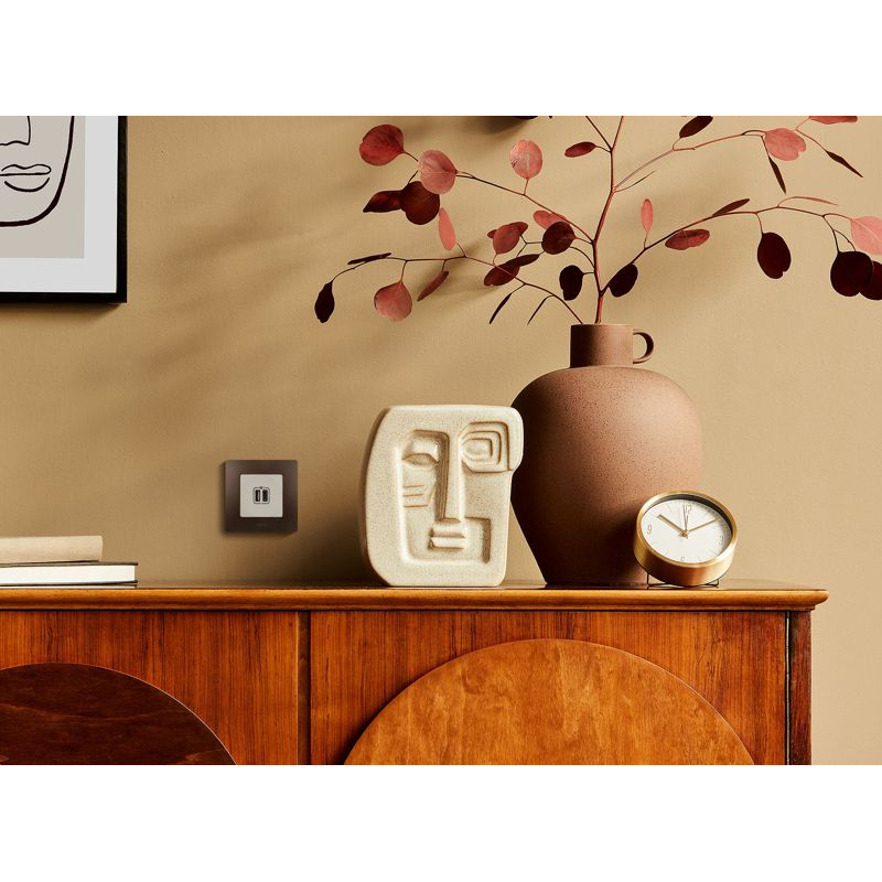 Устройство зарядное Etika с двумя USB-разъемами тип A-тип C 240В/5В 3000мА сл. кость Leg 672336