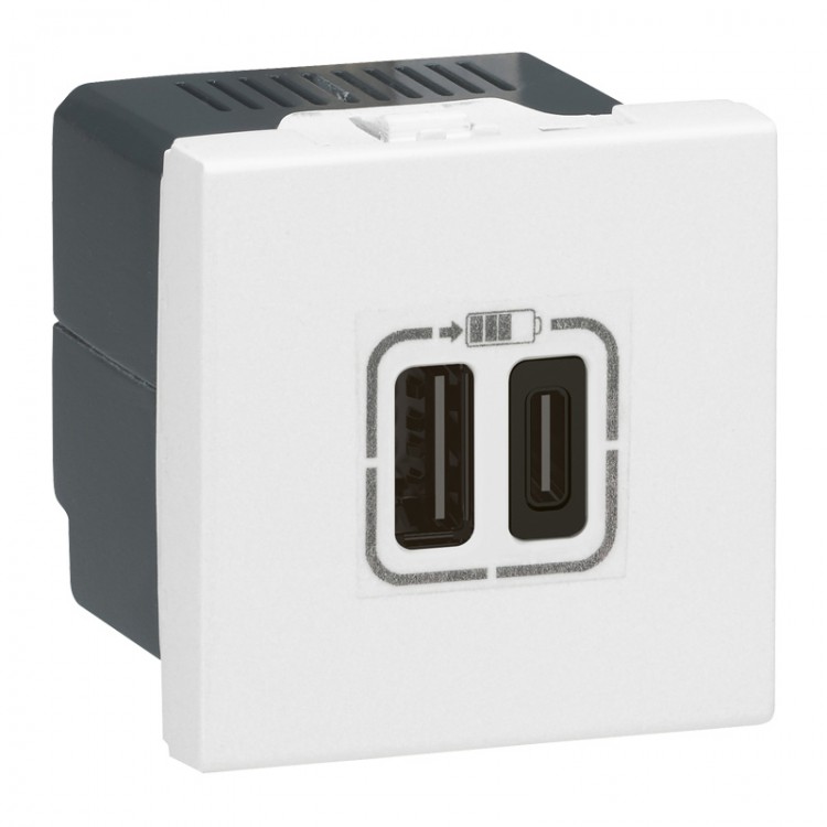 Розетка 2xUSB-C для зарядки - Программа Mosaic - 2 модуля - белый (077590)