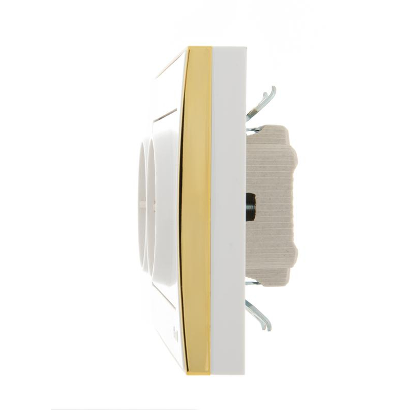 Розетка 2-м СП Рейн керам. с заземл. бел. с боковой вст. зол. LEZARD 703-0226-127