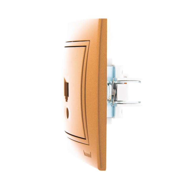 Розетка компьютерная 1-м СП Мира RJ45 метал. зол. LEZARD 701-1313-139