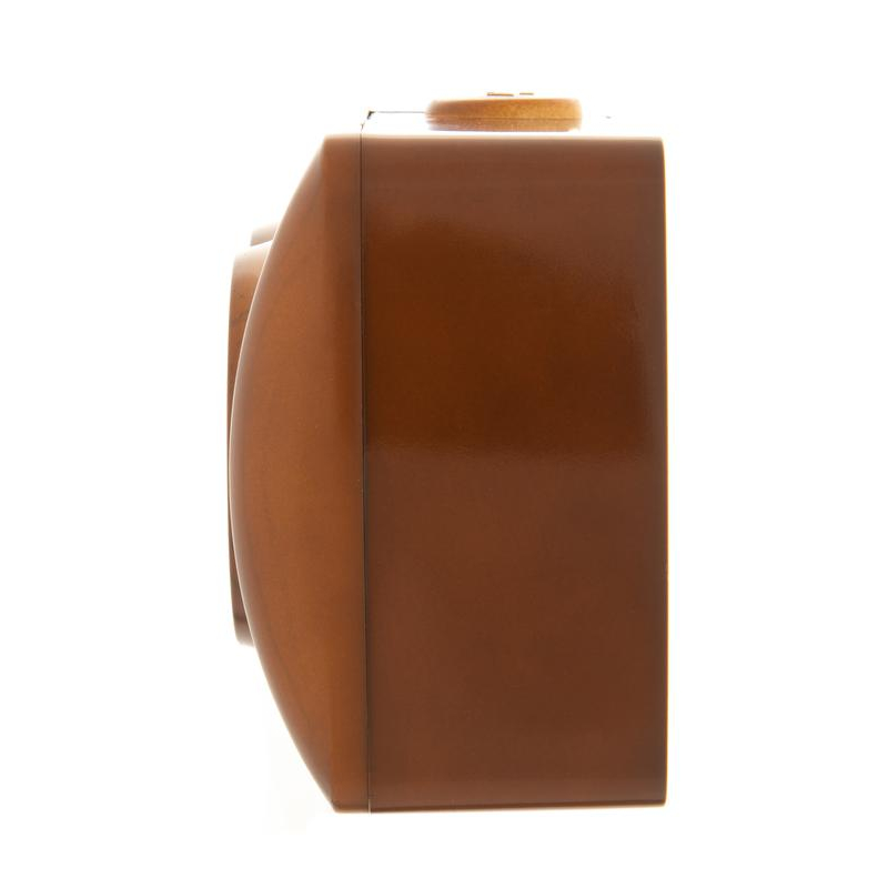 Розетка 2-м ОП Ната 16А IP20 без заземл. керамика сосна LEZARD 710-0800-128