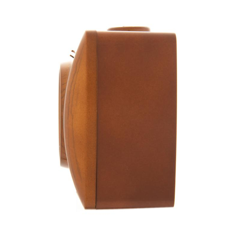 Розетка 1-м ОП Ната 16А IP20 без заземл. керамика сосна LEZARD 710-0800-121