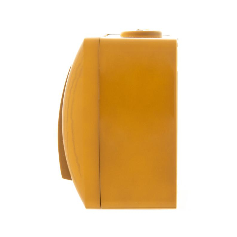 Выключатель 2-кл. ОП Ната 10А IP20 ольха LEZARD 710-0700-101