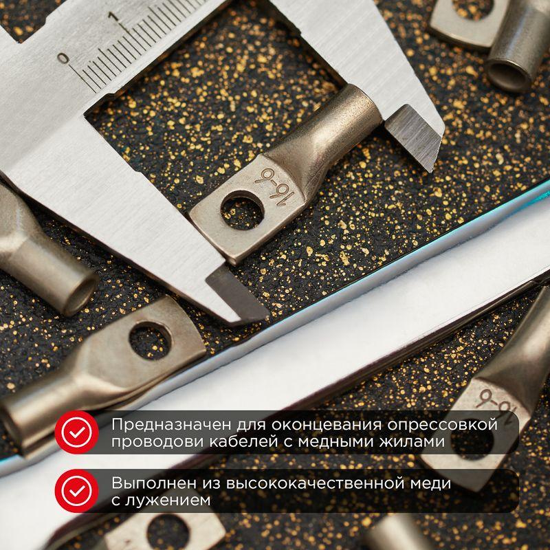 Наконечник ТМЛ 16–6–6 Rexant 07-5310