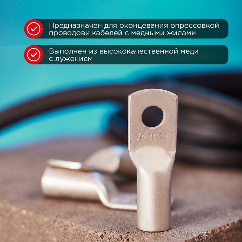 Наконечник ТМЛ 70–10–13 Rexant 07-5325