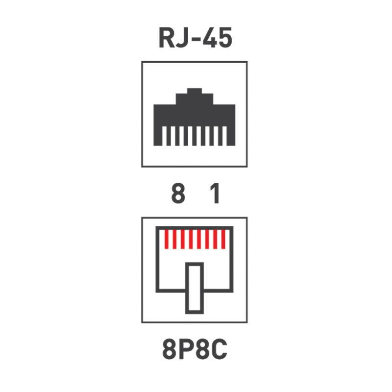 Розетка сетевая LAN на стену 2 гнездо 8Р8С (RJ-45) 5кат. Rexant 06-0105-C