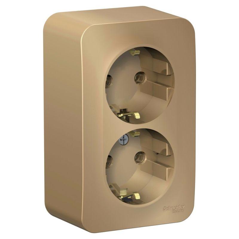 Розетка 2-м ОП Blanca 16А IP20 250В с заземл. без защ. шторок с изолир. пластиной титан SchE BLNRA010214