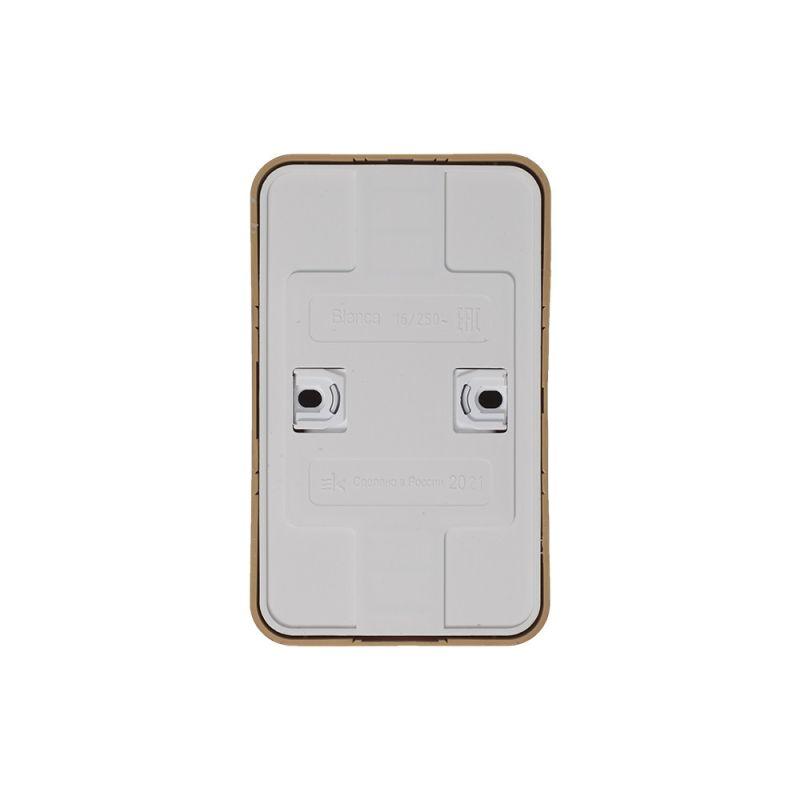 Розетка 2-м ОП Blanca 16А IP20 250В с заземл. защ. шторки с изолир. пластиной ясень SchE BLNRA011215